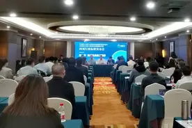 目标千亿级产业 玄武岩纤维两行业标准在四川达州发布丨全力以赴拼经济图片