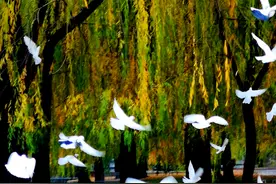 藝文视界 |“得罪人”与“得人心”之间的辩证关系图片