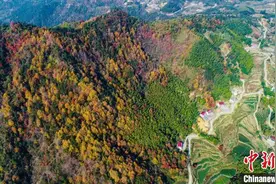 航拍初冬安徽大别山：层林尽染 美丽乡村入画来图片