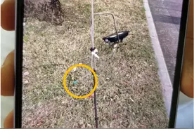 心痛！6岁男童眼球被铁线扎出血，幸手术挽救视力图片