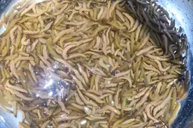 亩产达200斤！连樟村生态稻田养出“水中冬虫夏草”图片