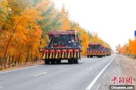 新疆阿拉尔市首批19台大型采棉机驰援库车助棉花采收图片