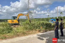 3天清理400亩林地 澄迈法院啃下持续10年的土地纠纷“骨头案”图片