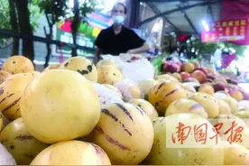 意不意外？人参果竟然是一种茄子图片