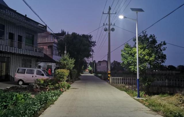 优化基层组织“发动机”跑出乡村振兴加速度