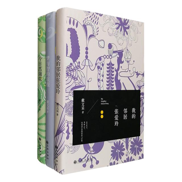 i5seo（是江郎才尽还是再攀巅峰在今天我们如何理解张爱玲的小团圆）