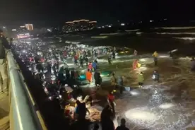 海肠、泸沽虾等出现在烟台海滩，专家揭秘“海鲜集体上岸”原因图片