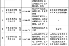 中国华融资产管理股份有限公司山东省分公司资产处置公告图片