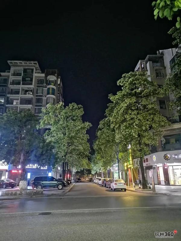 胶花有毒吗 2025年胶花有收藏价值吗