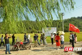 让我成为一株稻子吧图片