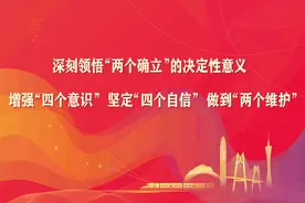 中医疗效获好评，多例“大白肺”重症患者平安出院图片