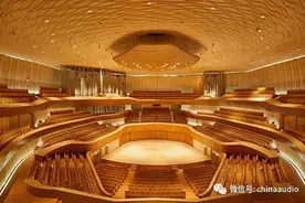 什么是空间声学处理(Acoustic Treatment)?图片