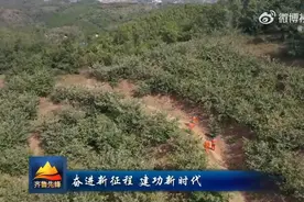 对比麦苗颜色探获黄金105吨，工程师在长势较好小麦地发现金矿图片