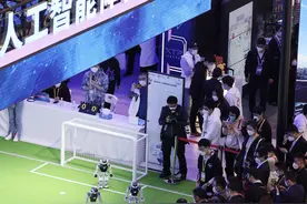 “四叶草”就是“幸运草”——展商心中的上海进博会图片