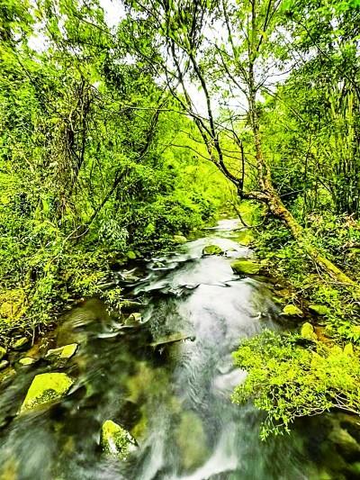 海南日记·走进黎乡