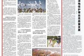 人民日报：江苏徐州等地努力建设人与自然和谐共生的现代化 让大美湿地增进民生福祉图片