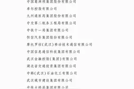 2022武汉企业100强名单发布，营收总额首次站上3万亿元台阶图片