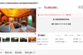 双十一，杭州九溪玫瑰园独栋别墅流拍，起拍价7500万元无人出手图片