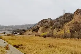 父亲走了｜半世勤劳，棠棣同心有孝忠图片