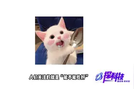 用果蔬清洁机洗菜，还不如盐泡干净？|探科技·双11特辑图片