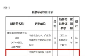 重磅：首个变异株“猪伪狂犬病gI/gE双基因缺失灭活疫苗”获得新兽药证书图片