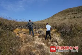 防城港“贪吃”豹猫经常偷食家禽被捕，林业部门：已放生保护区图片