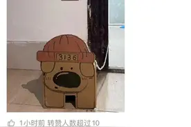 我有“奥特曼狗”，你有啥狗？当“纸盒狗”的风吹入成都高校图片