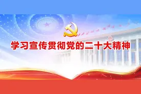 “人脸识别”秒认证，车驾管业务宅家办图片