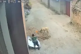 儿子对着监控喊“爸爸”，父亲：在外地工作，很想孩子视频封面