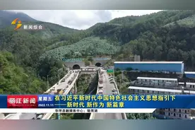 华丽高速营盘山隧道预计本月底实现通车视频封面