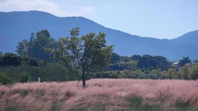 ��������ɫ��չ��������̬������������Ӱ��������