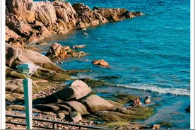 种草了！青岛宝藏海边公园图片