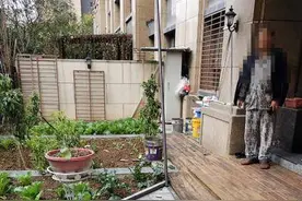外墙瓷片大量掉落将住户花园的防护棚砸穿 物业：将启用大修基金维修图片