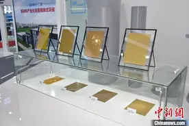 刘若鹏：超材料已经发展到一个新高度图片