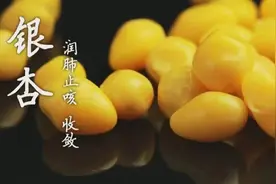 白果虽小，好处多！但别随便吃，尤其是这5类人图片