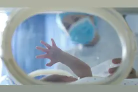 上海实施修订版计划生育奖励与补助若干规定：育儿假按生育子女数量计算天数图片