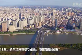 （新华全媒+）大美湿地城市｜哈尔滨图片