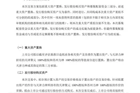 美利云重组大动作！告别贡献近八成营收的造纸业务“上车”新能源图片