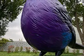 霍夫曼带来了一只“小鸟”：养云年度展呈现当代艺术叙事图片