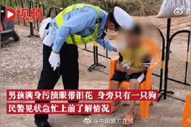 一人一狗仗剑走天涯：男童受气后牵狗徒步17公里找奶奶图片