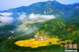 广东构建具有岭南特色的森林康养产业体系图片