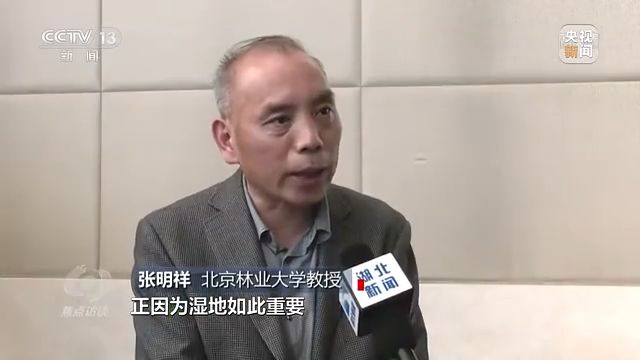 ç„¦ç‚¹è¿è°ˆä¸¨ä"¥æ³ä¸ºç›¾ åˆæŠ¤æ¹¿åœ°