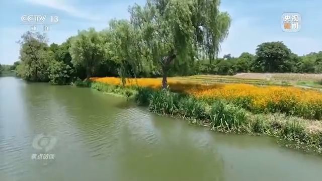 ç„¦ç‚¹è¿è°ˆä¸¨ä"¥æ³ä¸ºç›¾ åˆæŠ¤æ¹¿åœ°
