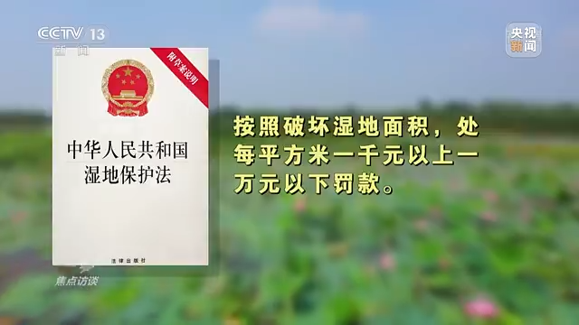 ç„¦ç‚¹è¿è°ˆä¸¨ä"¥æ³ä¸ºç›¾ åˆæŠ¤æ¹¿åœ°
