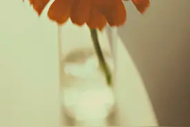 夜雨丨毛燕：婆的一生图片