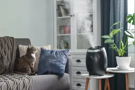 供暖季“各种干”，加湿器你真的会用吗？图片