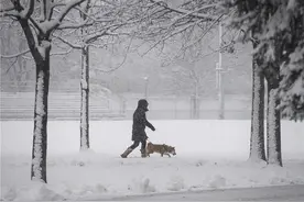加拿大蒙特利尔迎来强降雪 城市银装素裹变白色童话世界图片