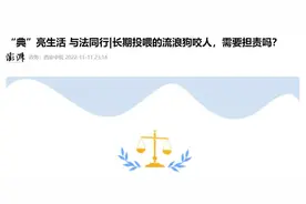 流浪狗咬伤人判投喂者担责，是不是好心没好报？图片