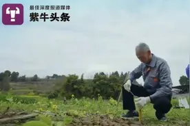 当代“扫地僧”！村里玩泥巴的大爷，竟是三星堆元老级修复大神图片