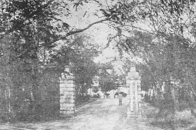 杨振声：梦因愿望而起图片